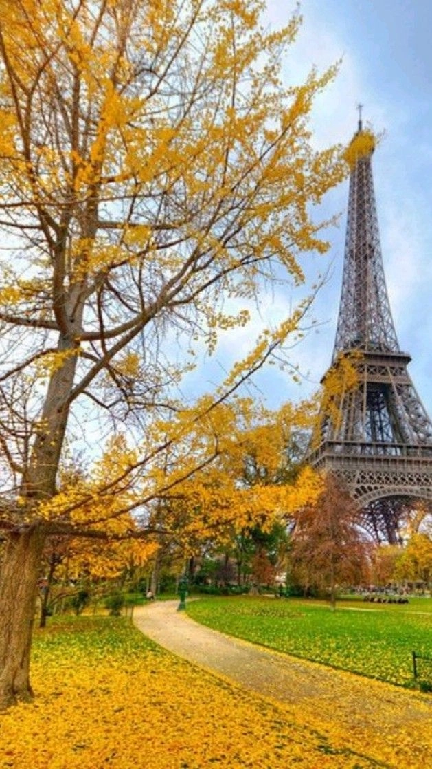 à propos paris vtc kv drive